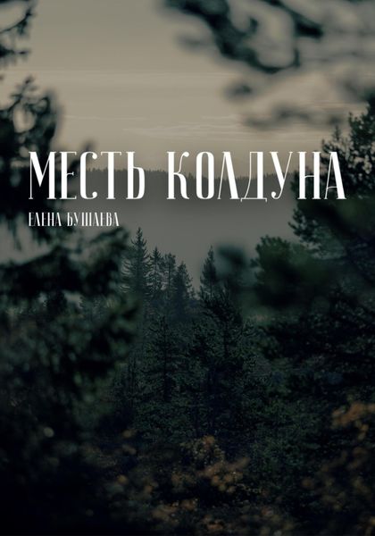 Обложка книги  «Месть колдуна»