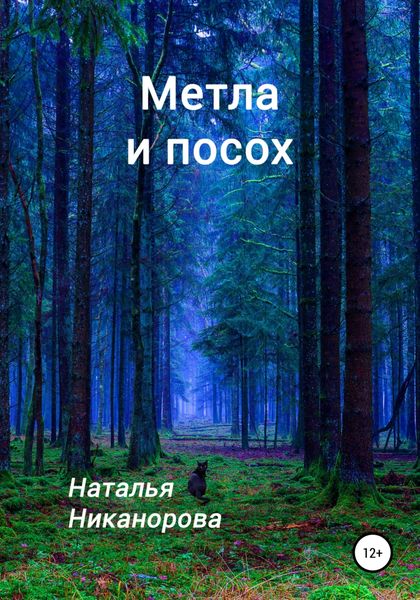 Обложка книги  «Метла и посох»