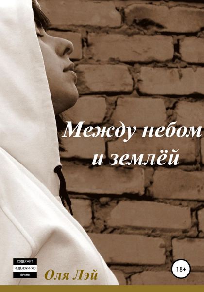 Обложка книги  «Между небом и землей»