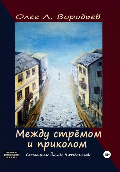 Обложка книги  «Между стрёмом и приколом»