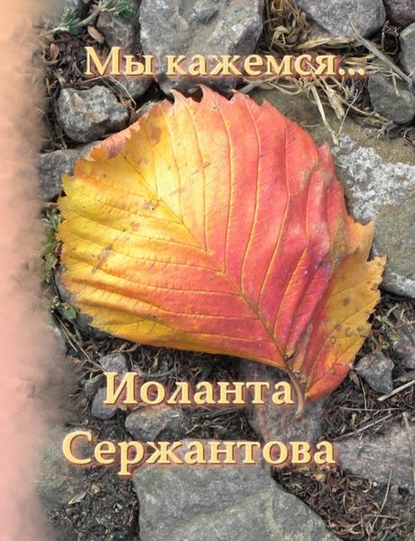 Обложка книги  «Мы кажемся…»