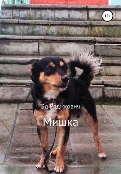 Обложка книги  «Мишка»