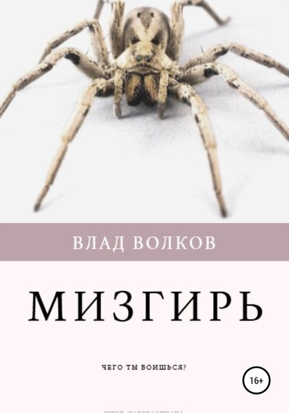 Обложка книги  «Мизгирь»