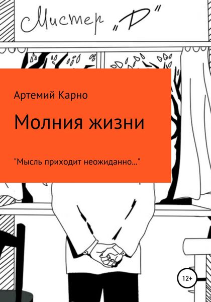 Обложка книги  «Молния Жизни»