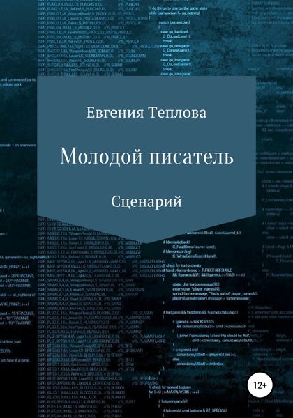 Обложка книги  «Молодой писатель»