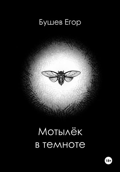 Обложка книги  «Мотылёк в темноте»