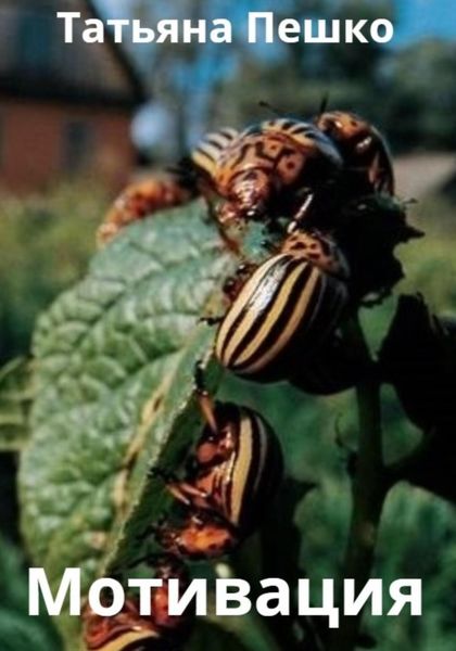 Обложка книги  «Мотивация»
