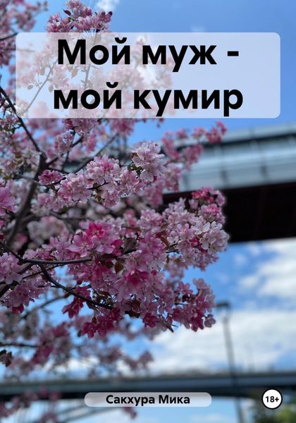 Обложка книги  «Мой муж – мой кумир»
