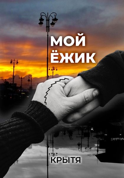 Обложка книги  «Мой ёжик»