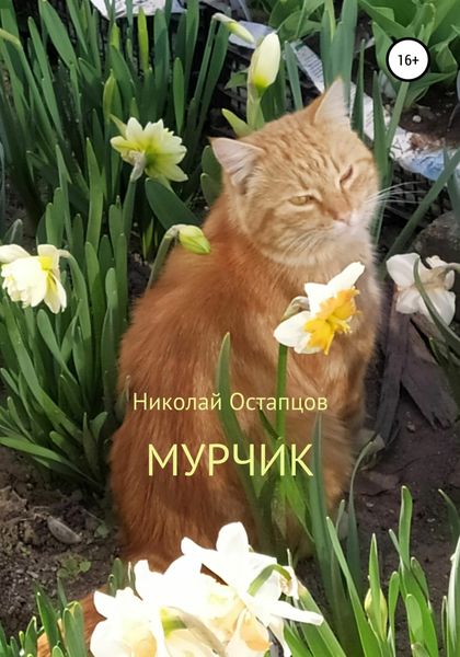 Обложка книги  «Мурчик»