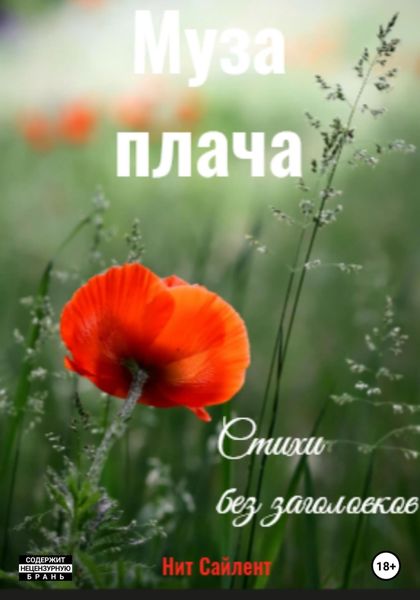 Обложка книги  «Муза плача»