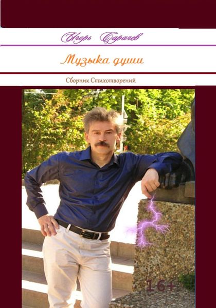 Обложка книги  «Музыка души. Сборник стихотворений»