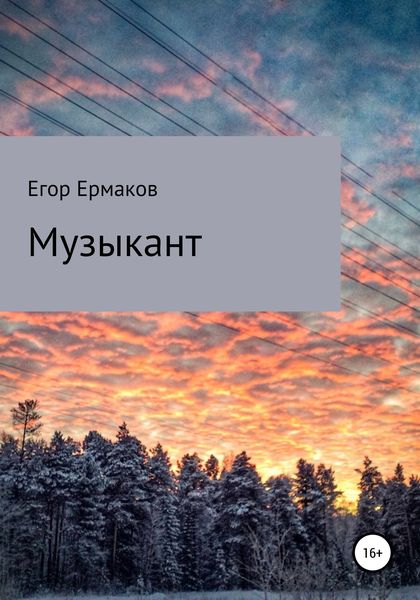 Обложка книги  «Музыкант»