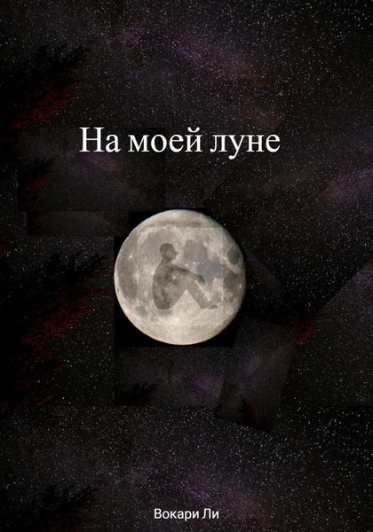 Обложка книги  «На моей луне»