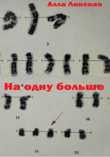 Обложка книги  «На одну больше»