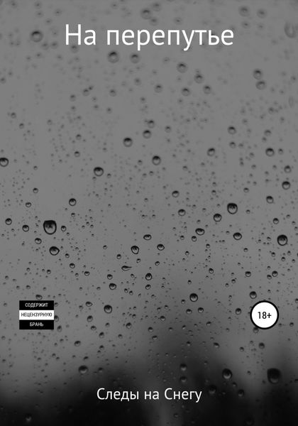 Обложка книги  «На перепутье»