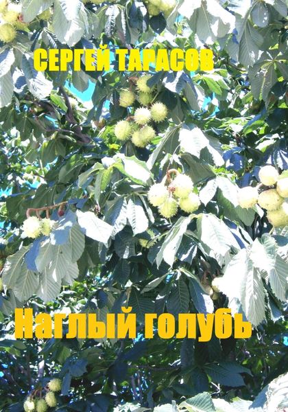 Обложка книги  «Наглый голубь»