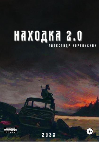 Обложка книги  «Находка 2.0»