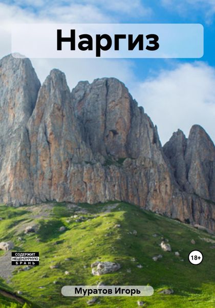 Обложка книги  «Наргиз»
