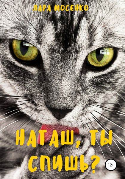 Обложка книги  «Наташ, ты спишь?»