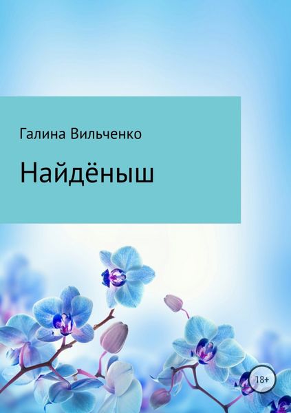 Обложка книги  «Найдёныш»