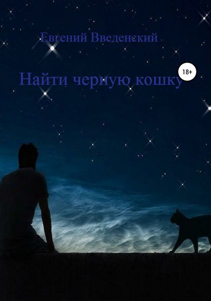 Обложка книги  «Найти чёрную кошку»