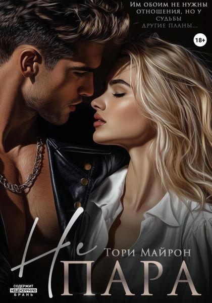 Обложка книги  «Не пара»