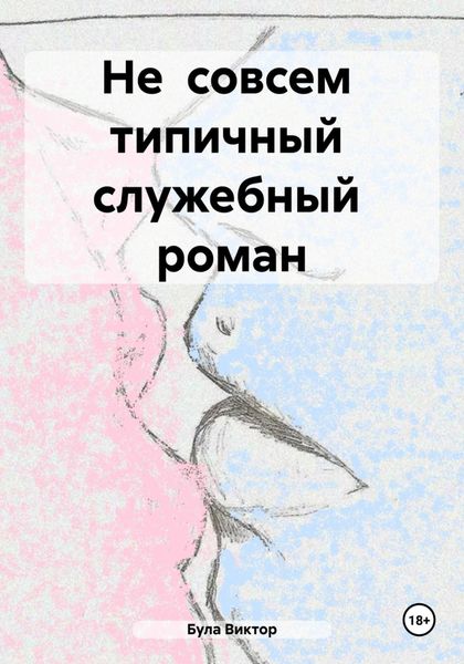 Обложка книги  «Не совсем типичный служебный роман»