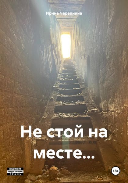 Обложка книги  «Не стой на месте…»