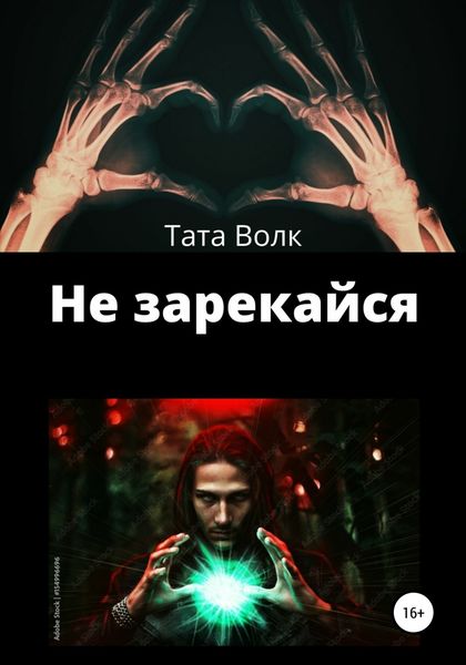 Обложка книги  «Не зарекайся»