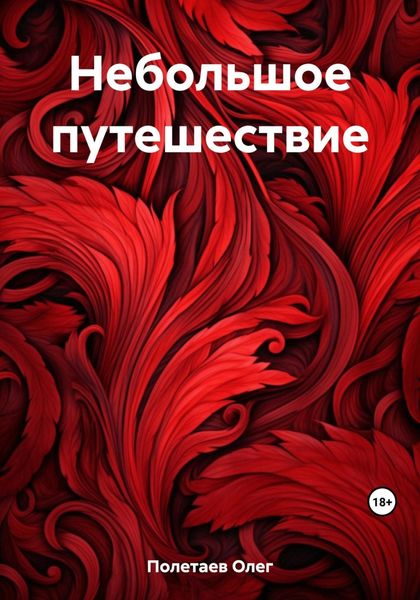 Обложка книги  «Небольшое путешествие»