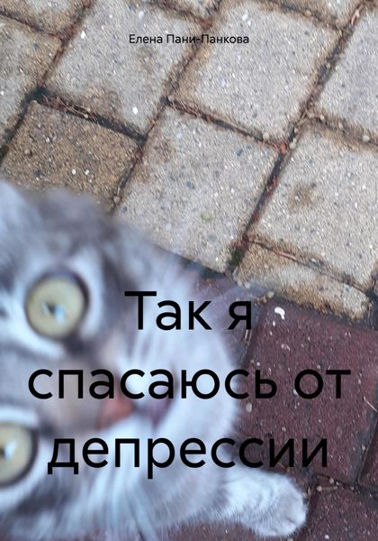 Обложка книги  «Недогадливая Лара»