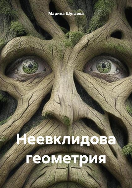Обложка книги  «Неевклидова геометрия»