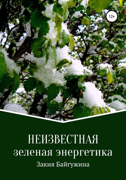 Обложка книги  «Неизвестная зеленая энергетика»