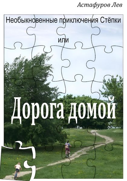 Обложка книги  «Необыкновенные приключения Стёпки, или Дорога домой»