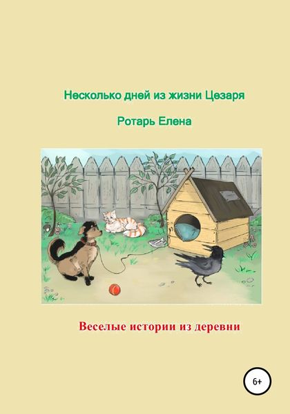 Обложка книги  «Несколько дней из жизни Цезаря»