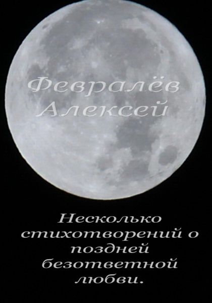 Обложка книги  «Несколько стихотворений о поздней безответной любви»