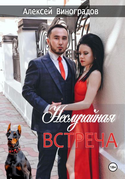 Обложка книги  «Неслучайная встреча»