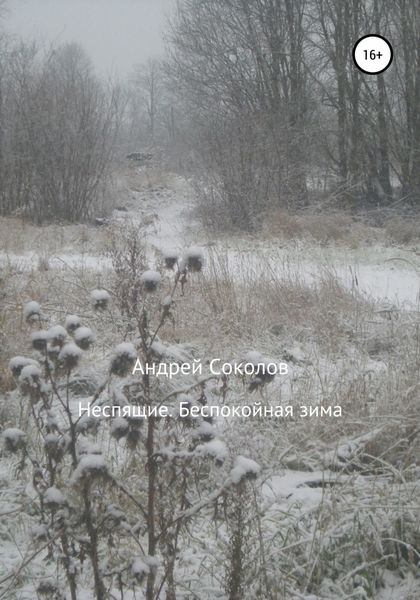 Обложка книги  «Неспящие. Беспокойная зима»