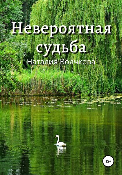 Обложка книги  «Невероятная судьба»