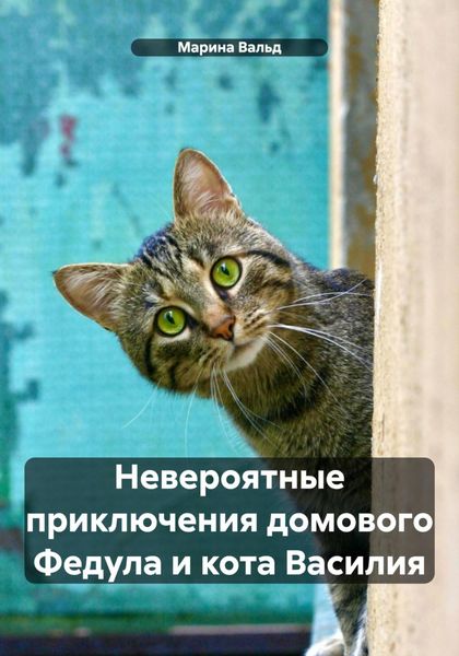 Обложка книги  «Невероятные приключения домового Федула и кота Василия»