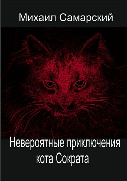Обложка книги  «Невероятные приключения кота Сократа»