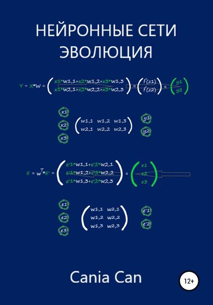 Обложка книги  «Нейронные сети. Эволюция»