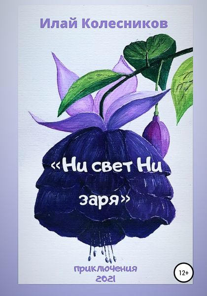 Обложка книги  «Ни свет ни заря»