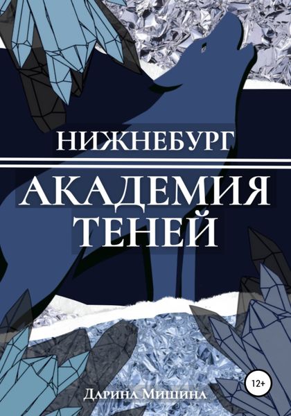 Обложка книги  «Нижнебург. Академия Теней»