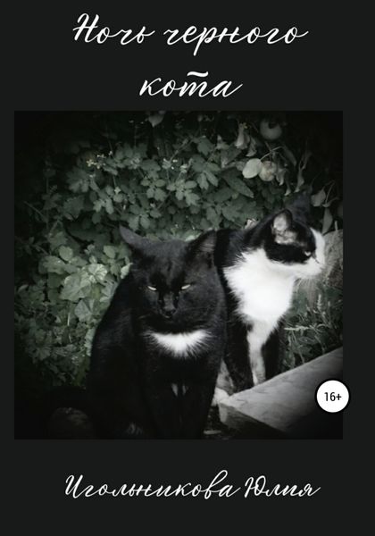 Обложка книги  «Ночь черного кота»