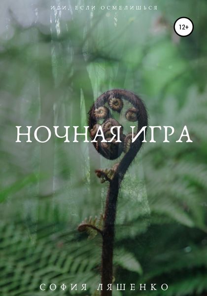 Обложка книги  «Ночная игра»