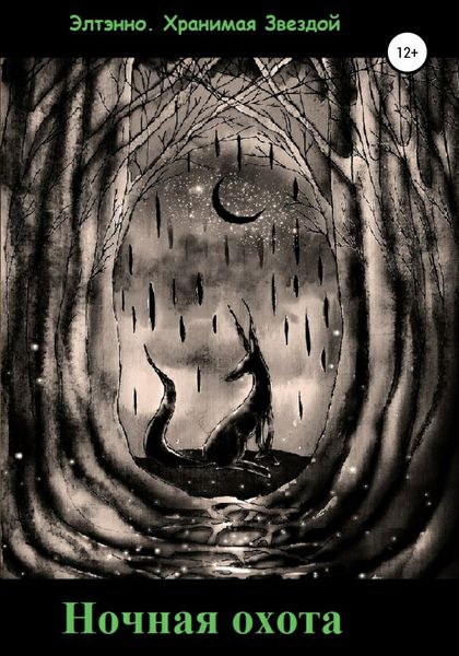 Обложка книги  «Ночная охота»