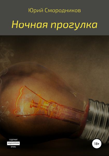 Обложка книги  «Ночная прогулка»