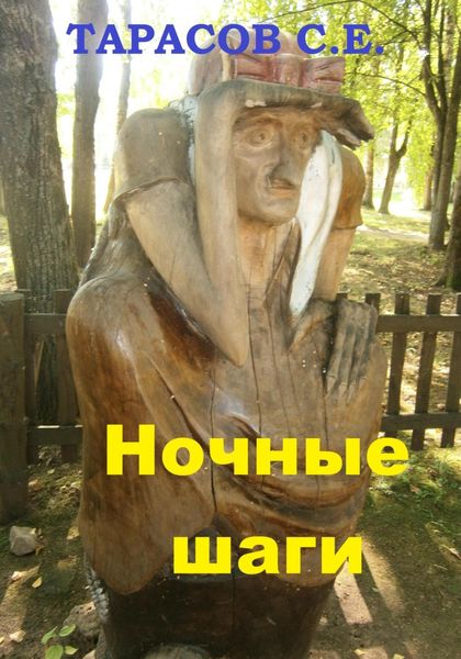 Обложка книги  «Ночные шаги»